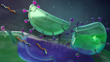 tratamento-de-feridas-biofilme - 3