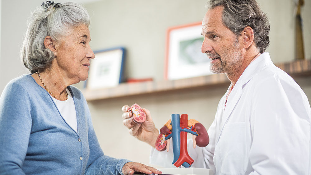 Um médico está a conversar com uma senhora mais velha que está a ouvir atentamente e parece interessada. Ele está a mostrar-lhe um modelo de rim.