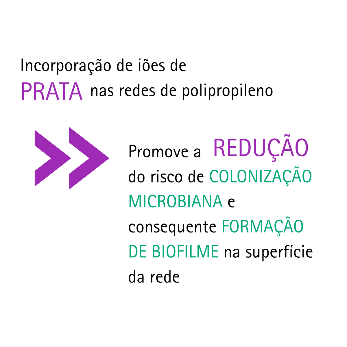 Sem nome (1080 x 1080 px) - 5