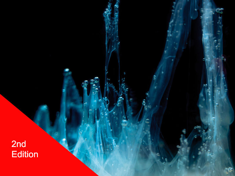 Capa da 2a edição do Lobo Booklet