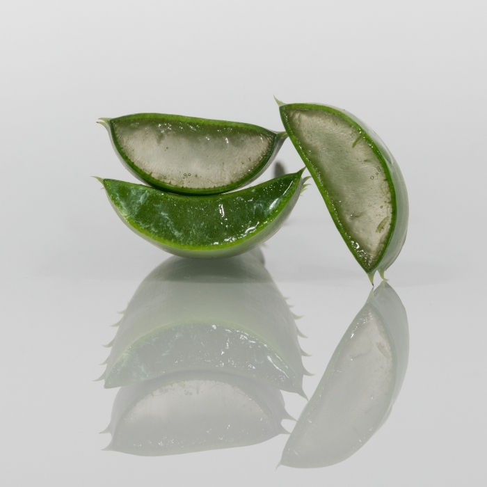 tratamento-de-feridas-gama- -  Aloé-vera