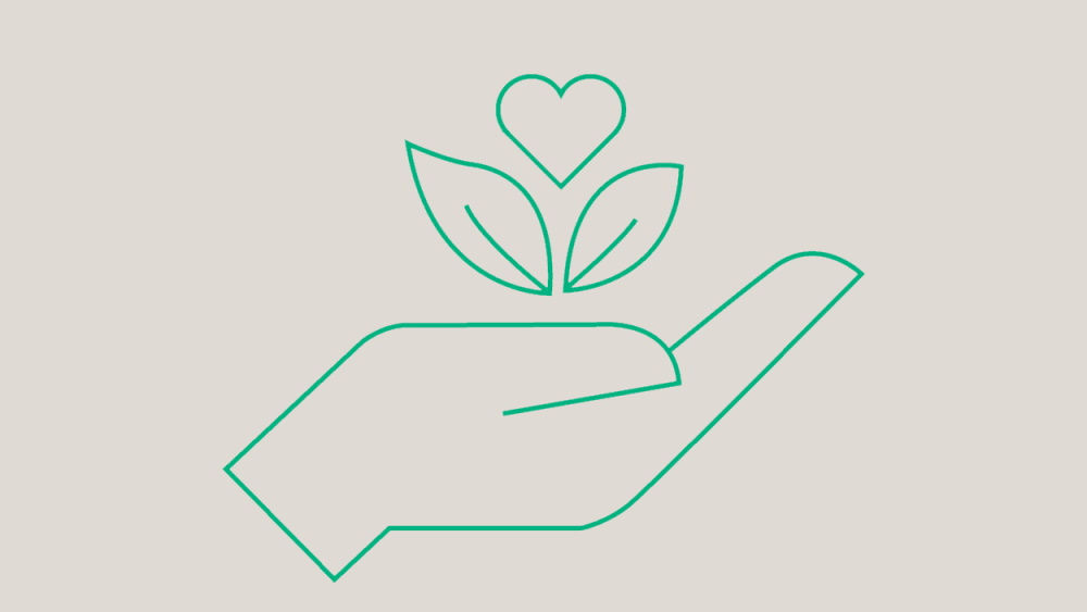 Mão a segurar numa planta com um coração por cima, simbolizando ser amiga do ambiente