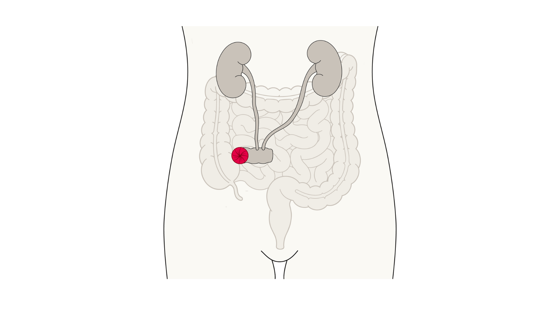 Imagens do site PEP - 15